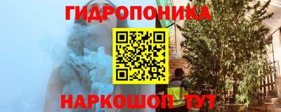 прущие грибы Среднеуральск
