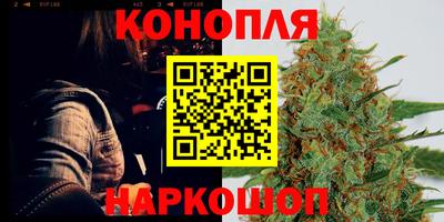 прущие грибы Среднеуральск