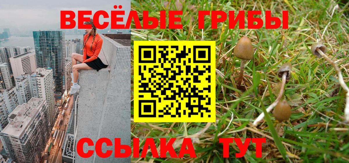 Alpha PVP Прокопьевск