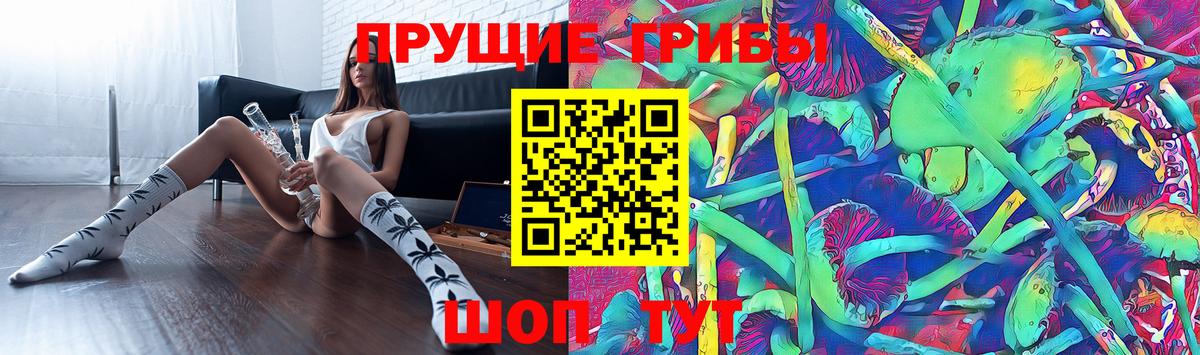 Галлюциногенные грибы GOLDEN TEACHER Прокопьевск